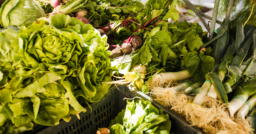 WHY INCLUDE LEAFY VEGETABLES IN YOUR EVERYDAY AIP DIET