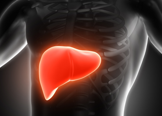 HEALTH AND SAFETY TIPS FOR PEOPLE WITH AUTOIMMUNE HEPATITIS