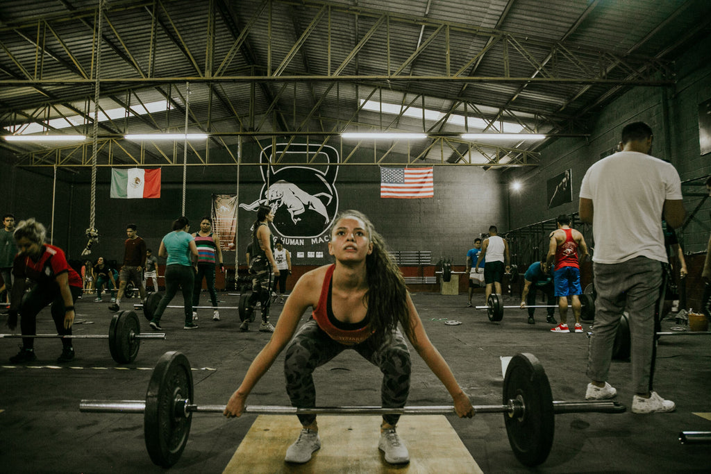 Unlocking Potential: The Functional Power of Paleo and AIP Proteins